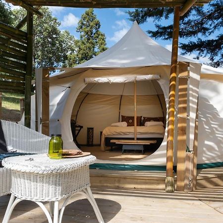 Kerikeri Glamping Hotel Екстериор снимка