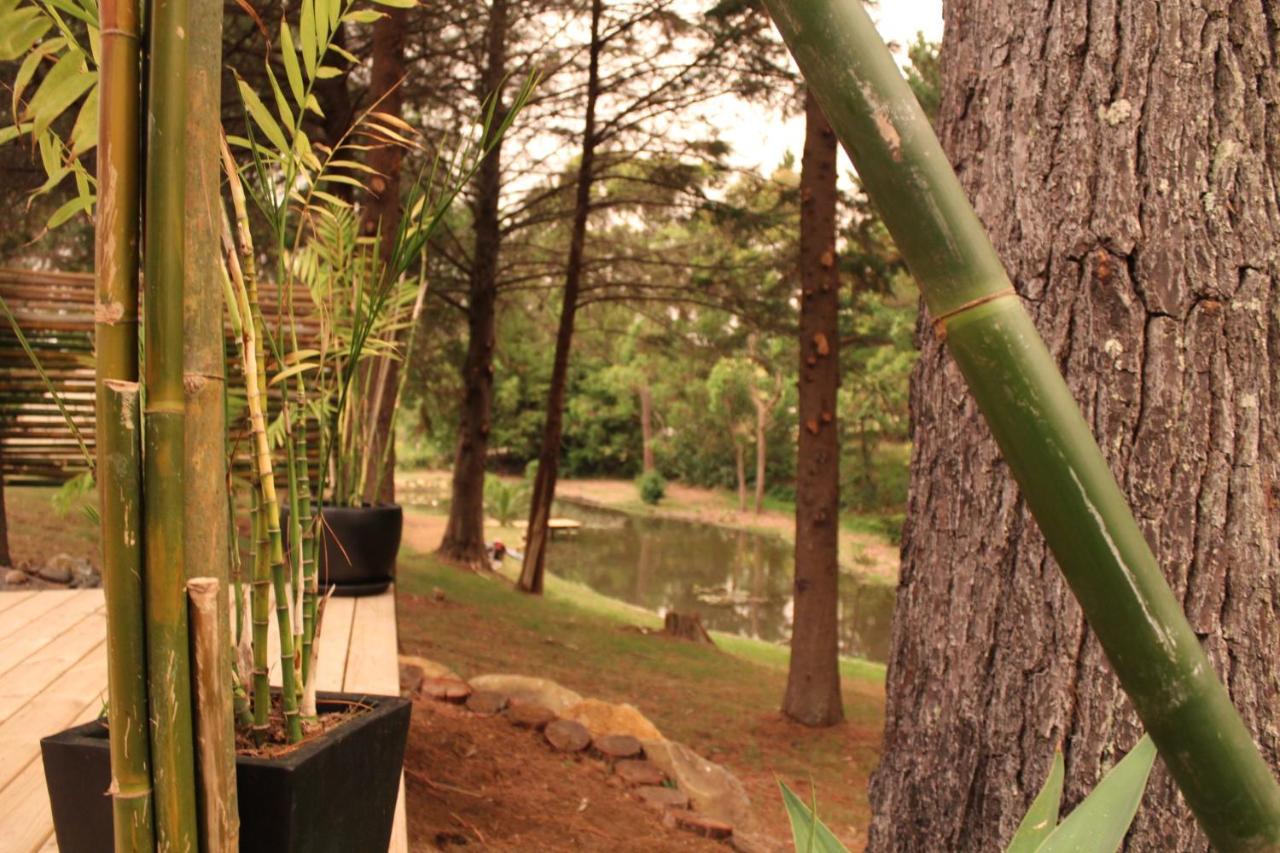 Kerikeri Glamping Hotel Екстериор снимка