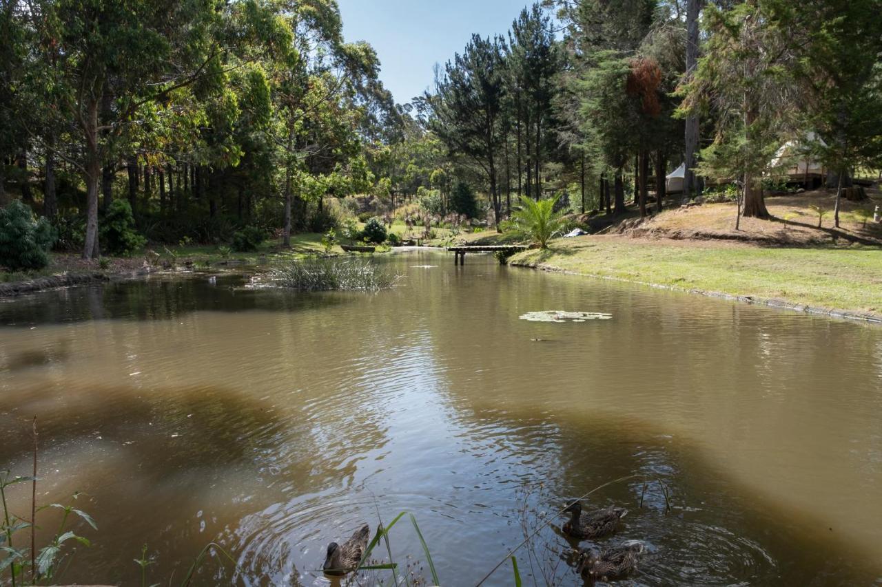 Kerikeri Glamping Hotel Екстериор снимка