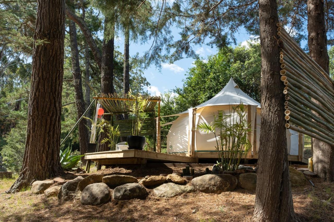 Kerikeri Glamping Hotel Екстериор снимка