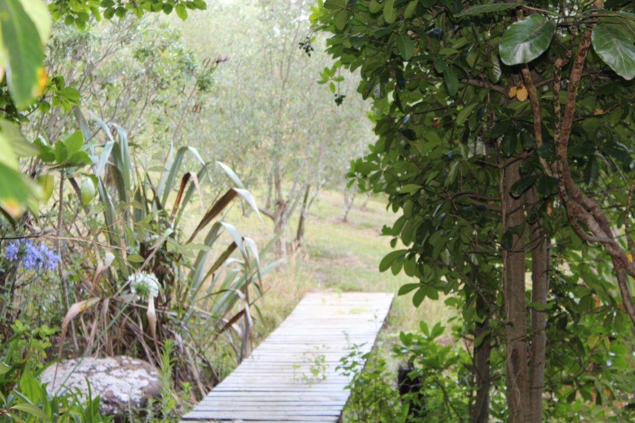 Kerikeri Glamping Hotel Екстериор снимка