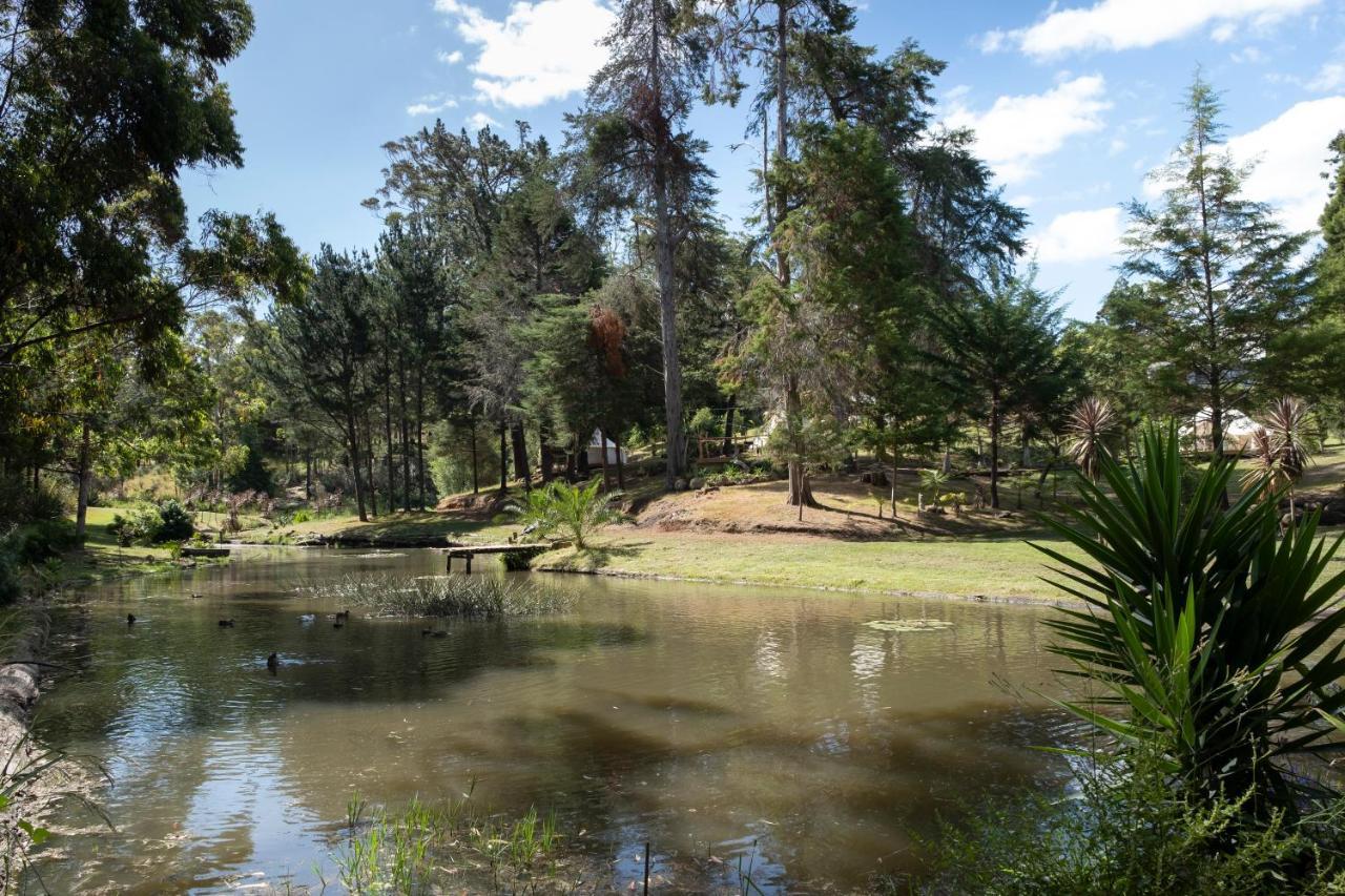 Kerikeri Glamping Hotel Екстериор снимка
