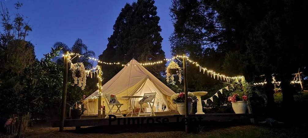 Kerikeri Glamping Hotel Екстериор снимка