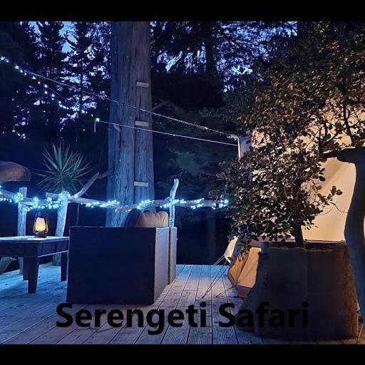 Kerikeri Glamping Hotel Екстериор снимка